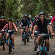 Rent your Mountain Bike (x1)